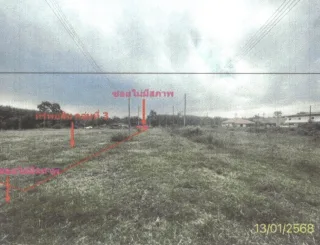 รูปทรัพย์ 8