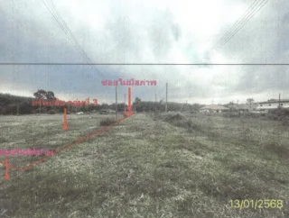 รูปทรัพย์ 11