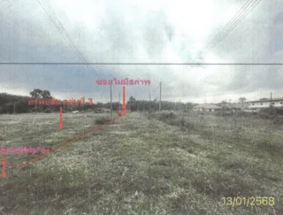 รูปทรัพย์ 13
