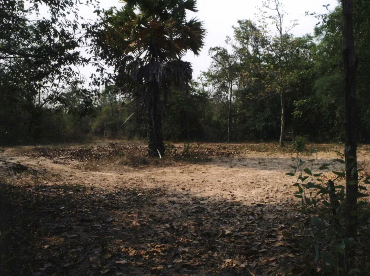 ขายทอดตลาด ที่ดินว่างเปล่า ต.หนองแสง อ.วาปีปทุม จ.มหาสารคาม