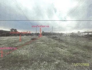 รูปทรัพย์ 15