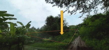 ขายทอดตลาด ที่ดินว่างเปล่า ต.หอกลอง อ.พรหมพิราม จ.พิษณุโลก