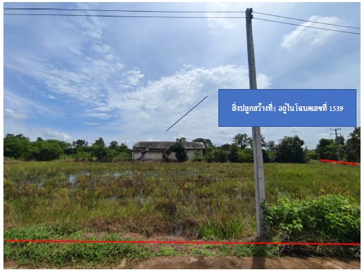 ขายทอดตลาด ที่ดินพร้อมสิ่งปลูกสร้าง ต.วังตะกู อ.บางมูลนาก จ.พิจิตร