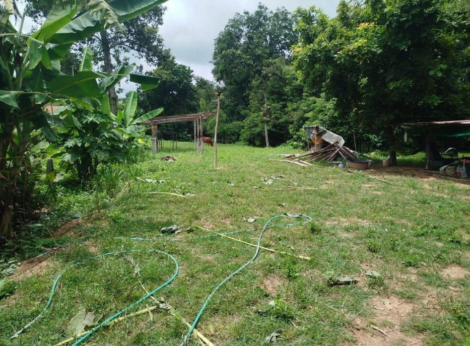 ขายทอดตลาด ที่ดินว่างเปล่า ต.เวียงชัย อ.พยัคฆภูมิพิสัย จ.มหาสารคาม