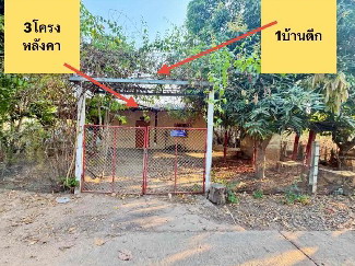 ขายทอดตลาด ที่ดินพร้อมสิ่งปลูกสร้าง ต.หนองเม็ก อ.นาเชือก จ.มหาสารคาม