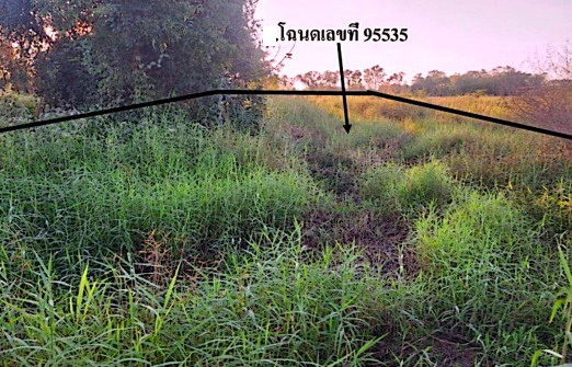 ขายทอดตลาด ที่ดินว่างเปล่า ต.หัวรอ อ.เมืองพิษณุโลก จ.พิษณุโลก