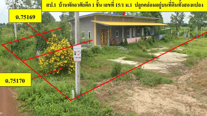 ขายทอดตลาด ที่ดินพร้อมสิ่งปลูกสร้าง ต.บางระกำ อ.บางระกำ จ.พิษณุโลก