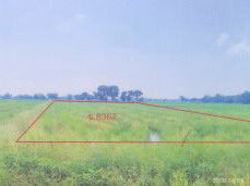 ขายทอดตลาด ที่ดินว่างเปล่า ต.ท่าช้าง อ.พรหมพิราม จ.พิษณุโลก
