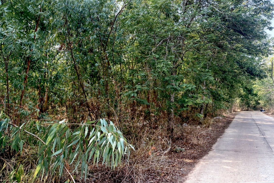 ขายทอดตลาด ที่ดินว่างเปล่า ต.สหัสขันธ์ อ.สหัสขันธ์ จ.กาฬสินธุ์