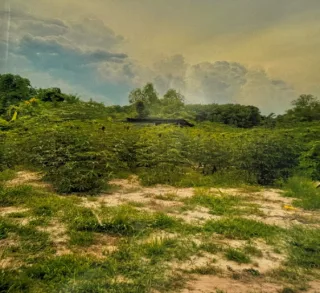 รูปทรัพย์ 1