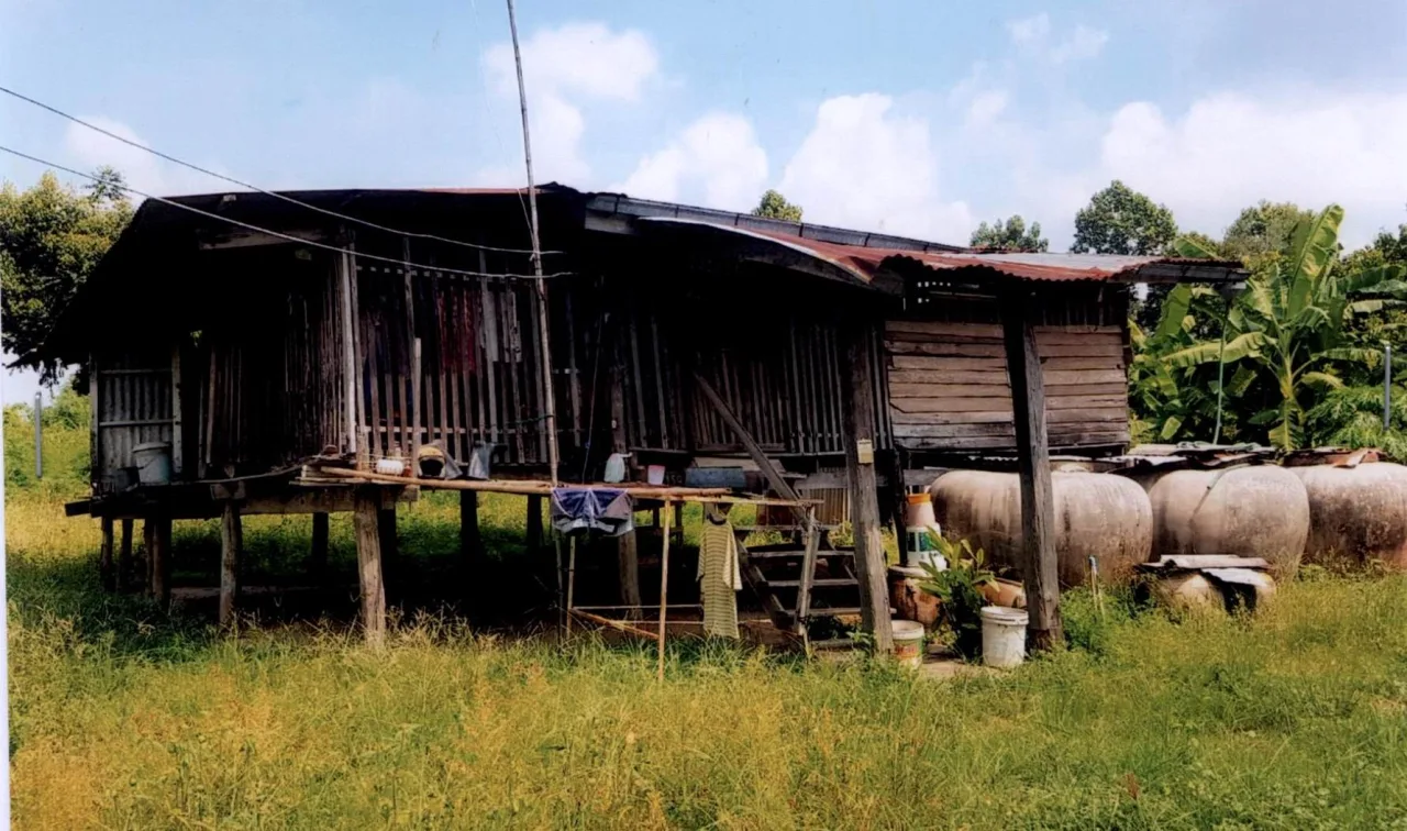 ขายทอดตลาด ที่ดินพร้อมสิ่งปลูกสร้าง ต.วังทอง อ.วังทอง จ.พิษณุโลก