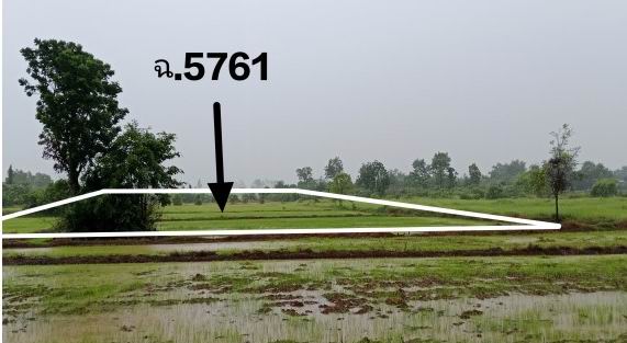 ขายทอดตลาด ที่ดินว่างเปล่า ต.บ้านน้อยซุ้มขี้เหล็ก อ.เนินมะปราง จ.พิษณุโลก