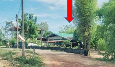 ขายทอดตลาด ที่ดินพร้อมสิ่งปลูกสร้าง ต.ท่างาม อ.วัดโบสถ์ จ.พิษณุโลก