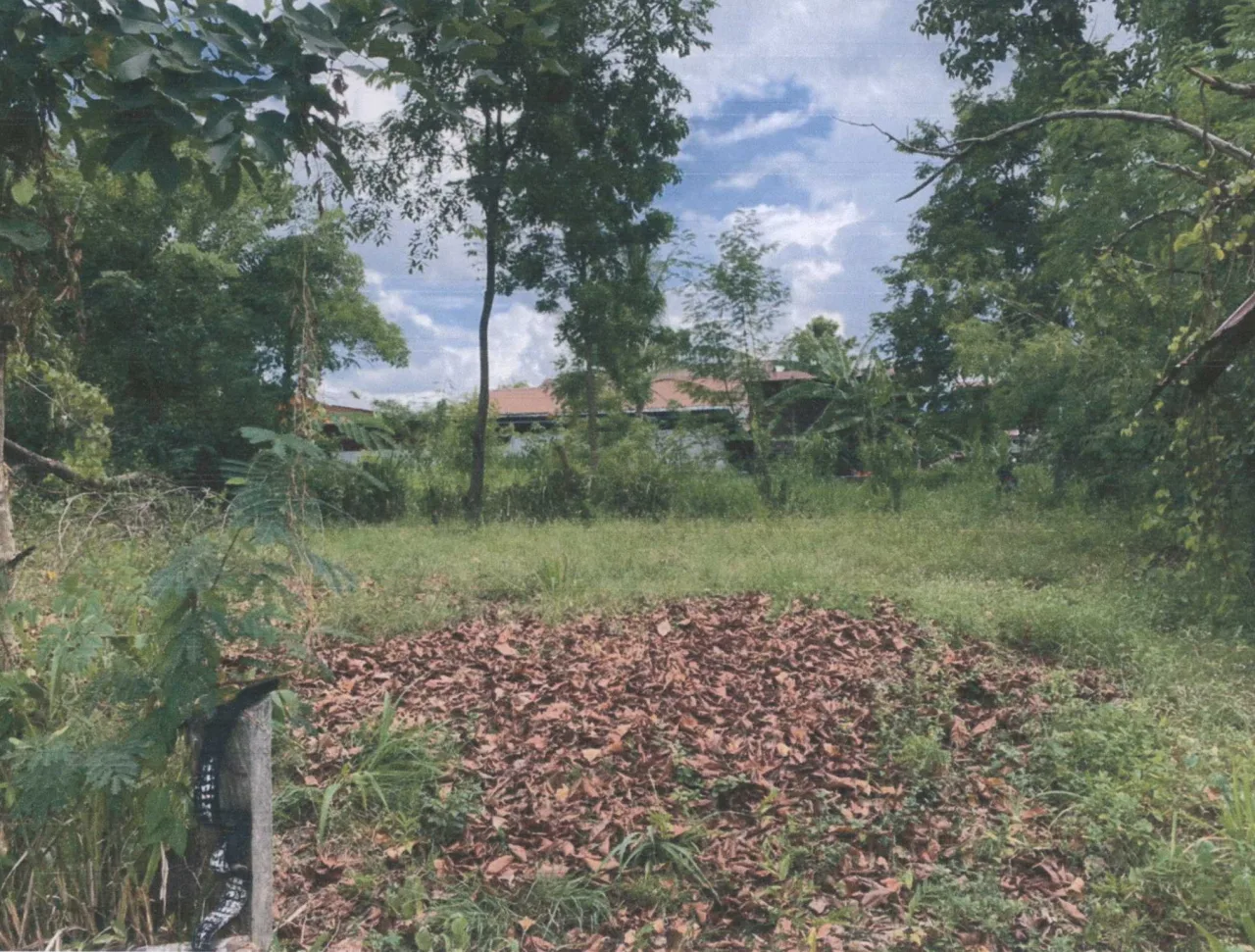 ขายทอดตลาด ที่ดินว่างเปล่า ต.หนองไผ่ อ.นาดูน จ.มหาสารคาม