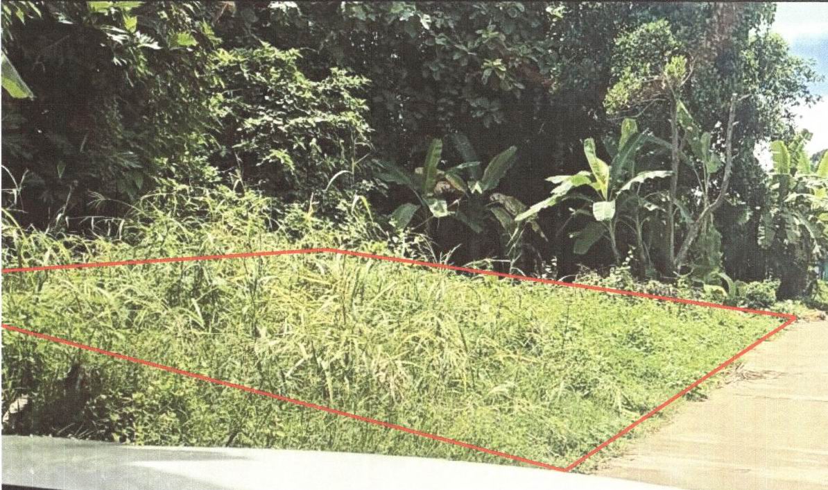 ขายทอดตลาด ที่ดินว่างเปล่า จ.พิษณุโลก