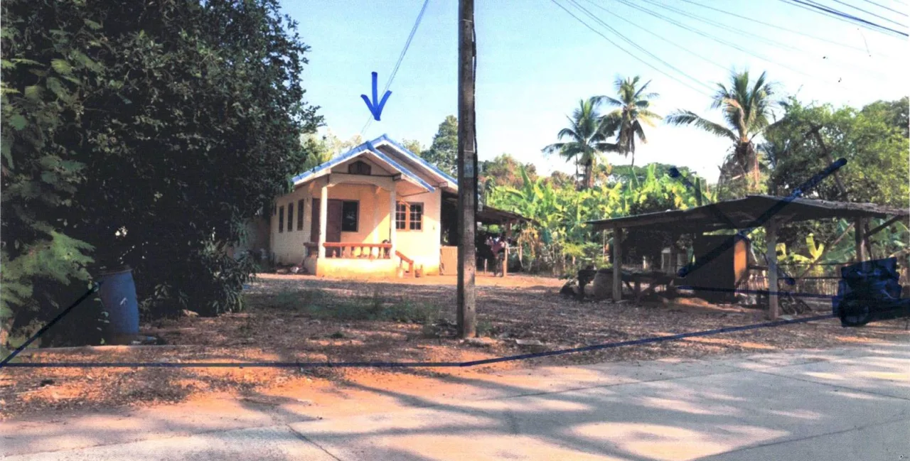 ขายทอดตลาด ที่ดินพร้อมสิ่งปลูกสร้าง ต.ท่าช้าง อ.พรหมพิราม จ.พิษณุโลก