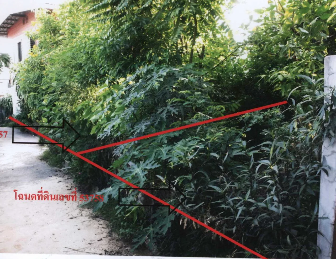 ขายทอดตลาด ที่ดินว่างเปล่า ต.ตลาด อ.เมืองมหาสารคาม จ.มหาสารคาม