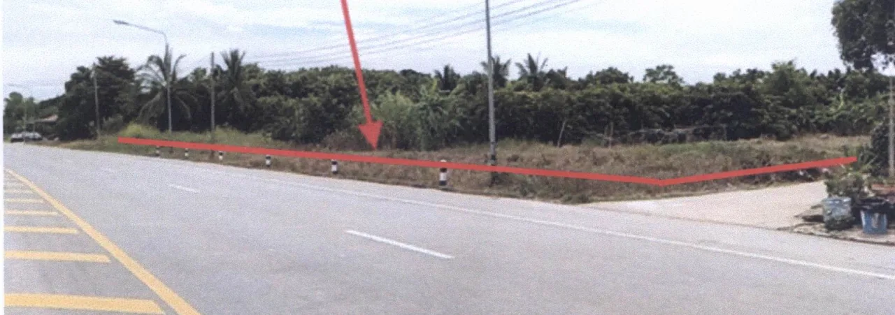 ขายทอดตลาด ที่ดินว่างเปล่า จ.พิษณุโลก