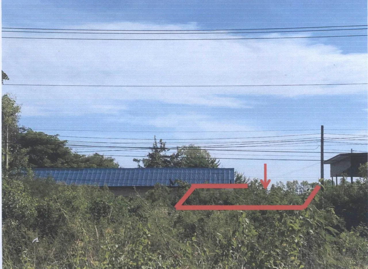 ขายทอดตลาด ที่ดินว่างเปล่า ต.ปะหลาน อ.พยัคฆภูมิพิสัย จ.มหาสารคาม