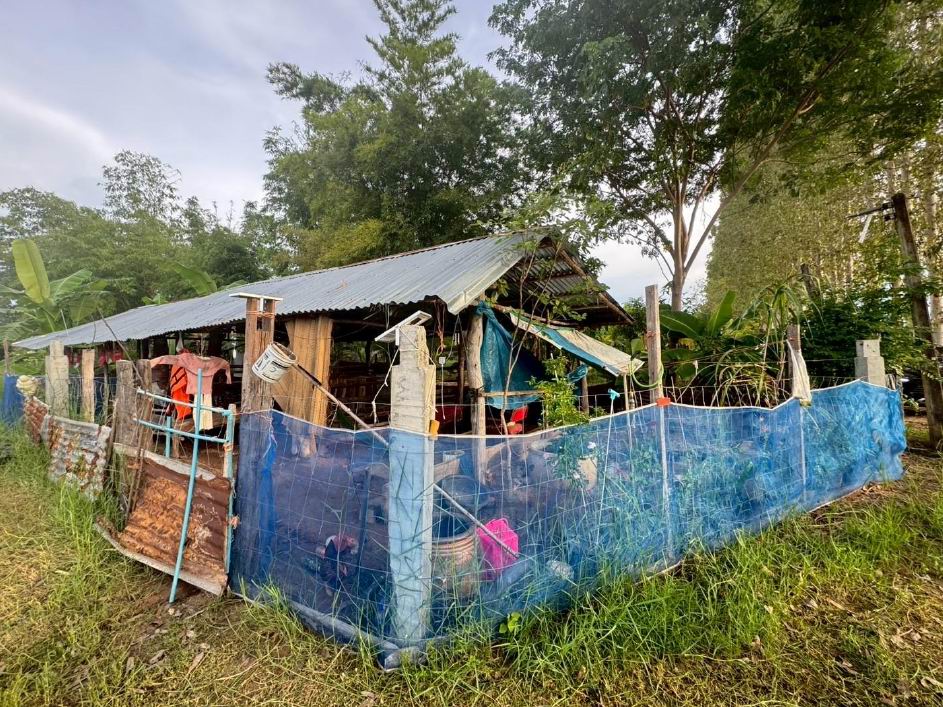 ขายทอดตลาด ที่ดินพร้อมสิ่งปลูกสร้าง ต.แวงน่าง อ.เมืองมหาสารคาม จ.มหาสารคาม