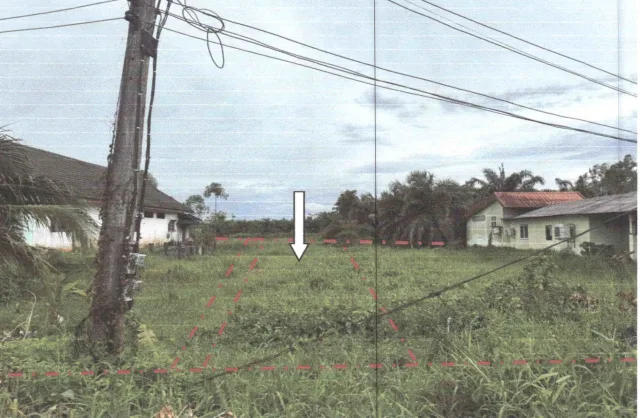 ขายทอดตลาด ที่ดินว่างเปล่า ต.ลำปำ อ.เมืองพัทลุง จ.พัทลุง