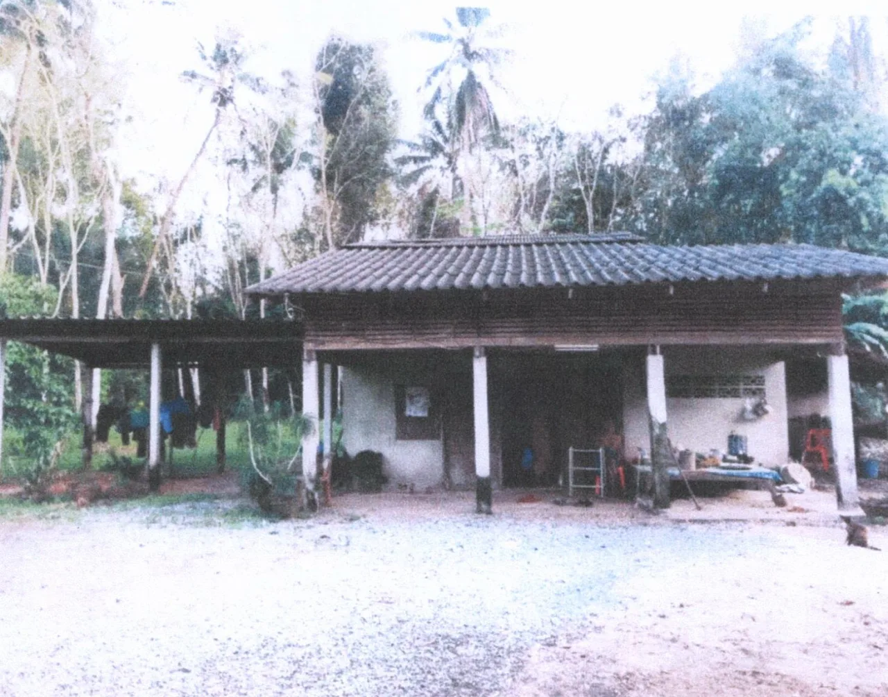 ขายทอดตลาด ที่ดินพร้อมสิ่งปลูกสร้าง ต.ตำนาน อ.เมืองพัทลุง จ.พัทลุง