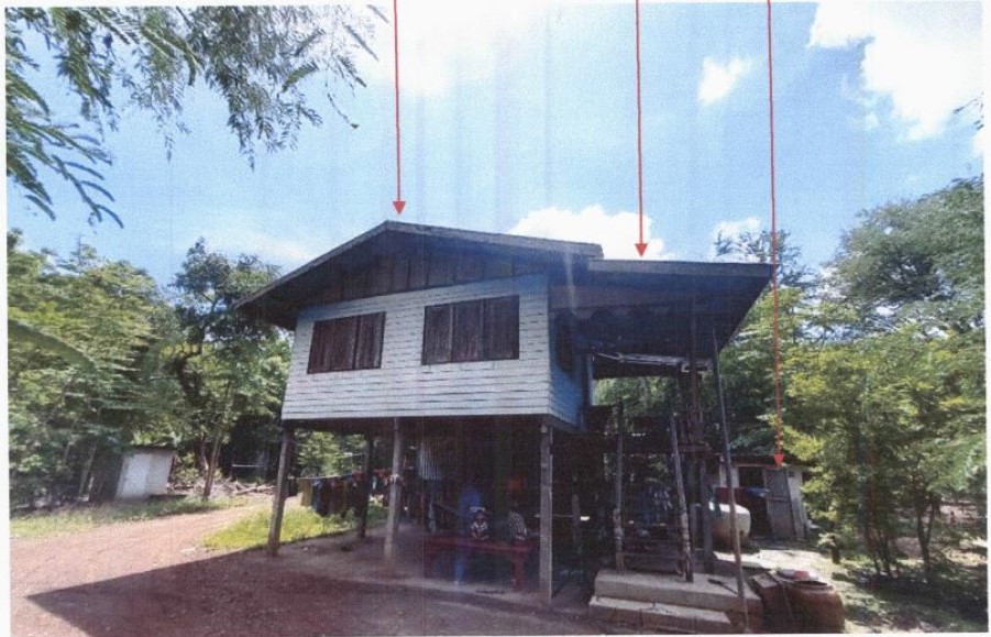 ขายทอดตลาด ที่ดินพร้อมสิ่งปลูกสร้าง ต.หนองปล้อง อ.วังทรายพูน จ.พิจิตร