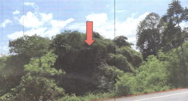 ขายทอดตลาด ที่ดินว่างเปล่า ต.ตะโหมด อ.ตะโหมด จ.พัทลุง