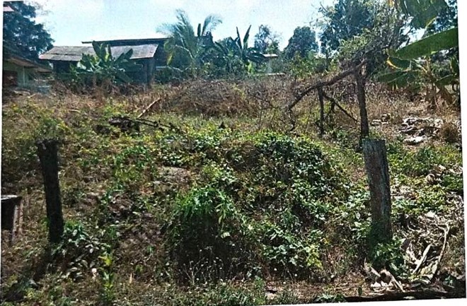 ขายทอดตลาด ที่ดินว่างเปล่า ต.หนองพยอม อ.ตะพานหิน จ.พิจิตร