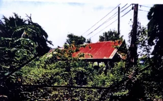 รูปทรัพย์ 2