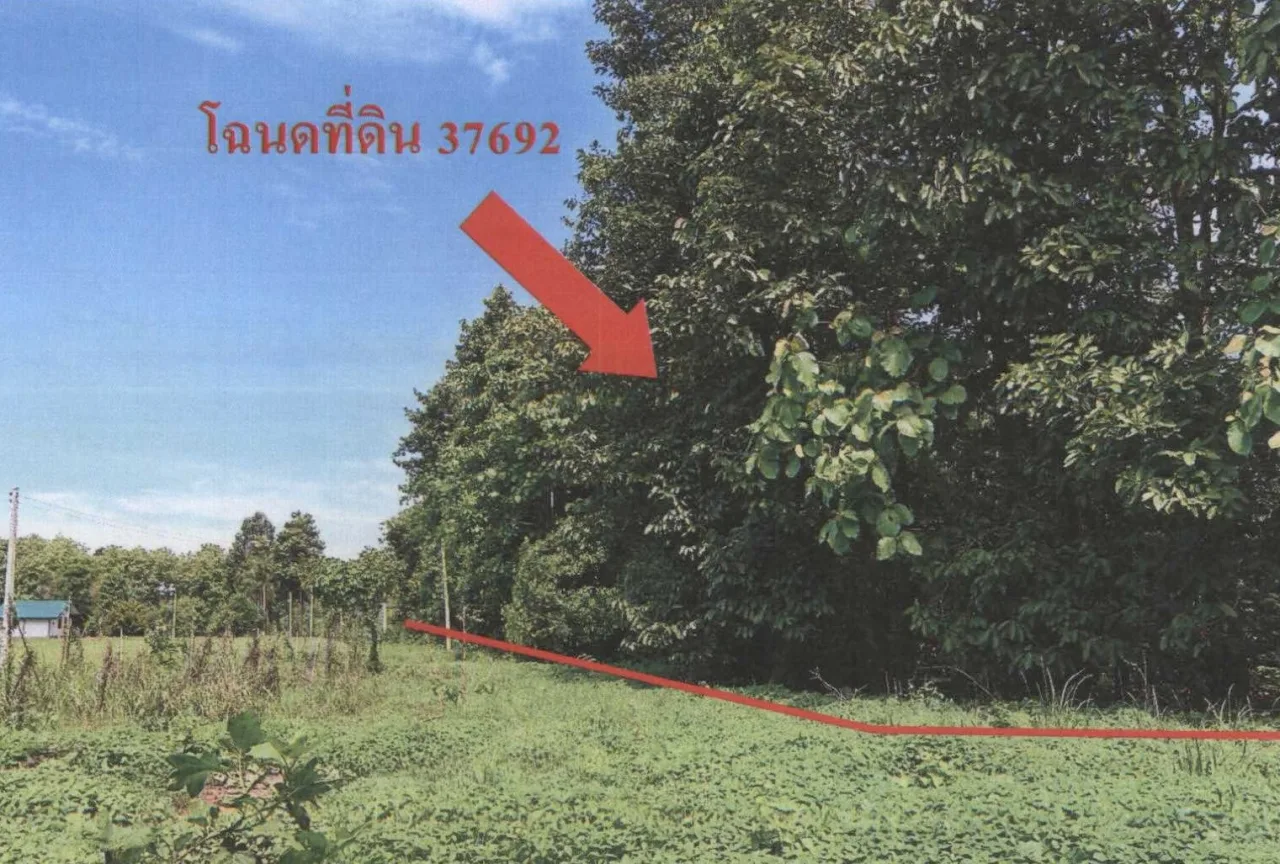 ขายทอดตลาด ที่ดินว่างเปล่า จ.พิจิตร