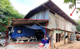 ขายทอดตลาด ที่ดินพร้อมสิ่งปลูกสร้าง ต.วังพิกุล อ.วังทอง จ.พิษณุโลก