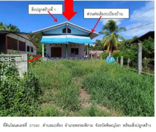 รูปทรัพย์ 1