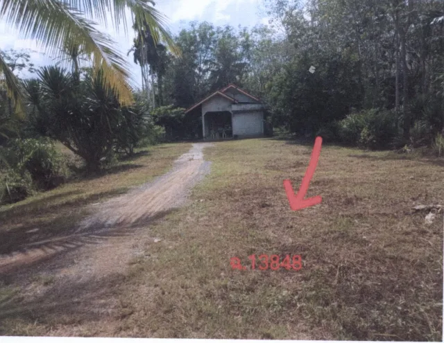 ขายทอดตลาด ที่ดินพร้อมสิ่งปลูกสร้าง ต.ลานข่อย อ.ป่าพะยอม จ.พัทลุง