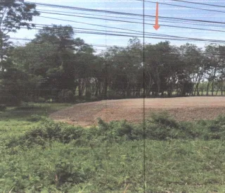 รูปทรัพย์ 1