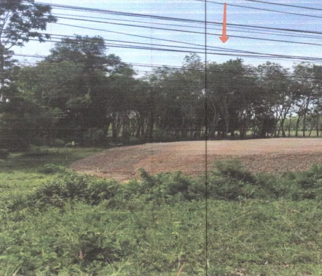 ขายทอดตลาด ที่ดินว่างเปล่า ต.หารเทา อ.ปากพะยูน จ.พัทลุง