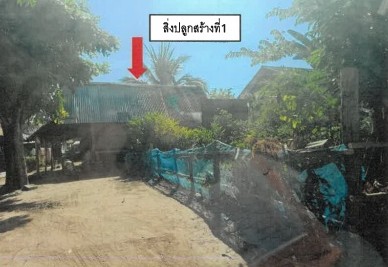 ขายทอดตลาด ที่ดินพร้อมสิ่งปลูกสร้าง ต.นาบอน อ.คำม่วง จ.กาฬสินธุ์
