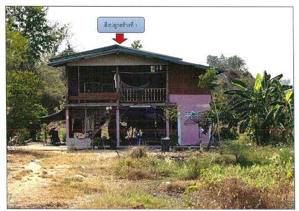 ขายทอดตลาด ที่ดินพร้อมสิ่งปลูกสร้าง ต.วังโมกข์ อ.วชิรบารมี จ.พิจิตร
