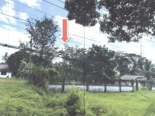 รูปทรัพย์ 2