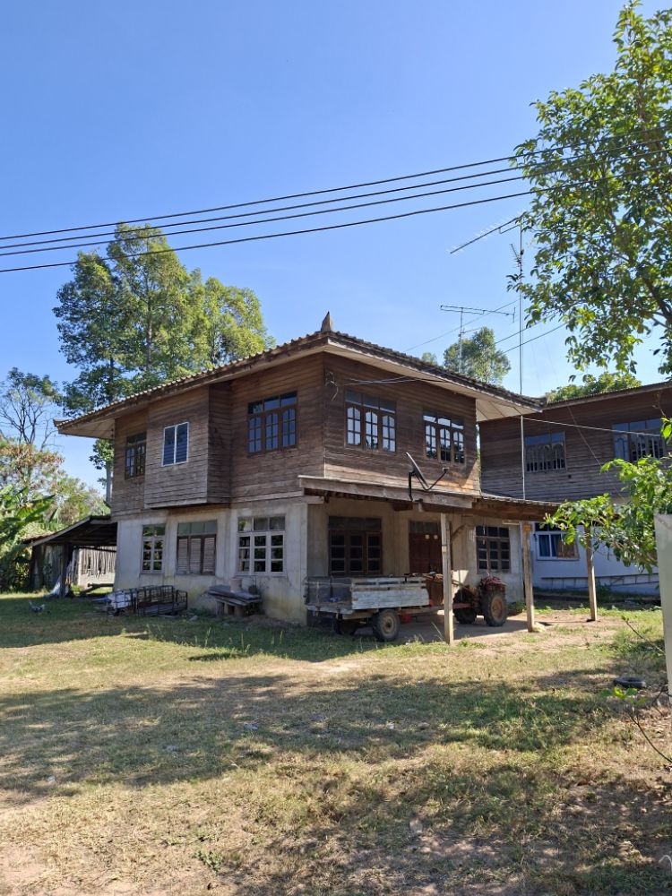 ขายทอดตลาด ที่ดินพร้อมสิ่งปลูกสร้าง ต.เมืองเสือ อ.พยัคฆภูมิพิสัย จ.มหาสารคาม