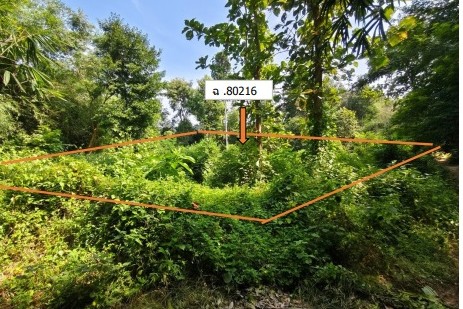 ขายทอดตลาด ที่ดินว่างเปล่า ต.คลองขาม อ.ยางตลาด จ.กาฬสินธุ์
