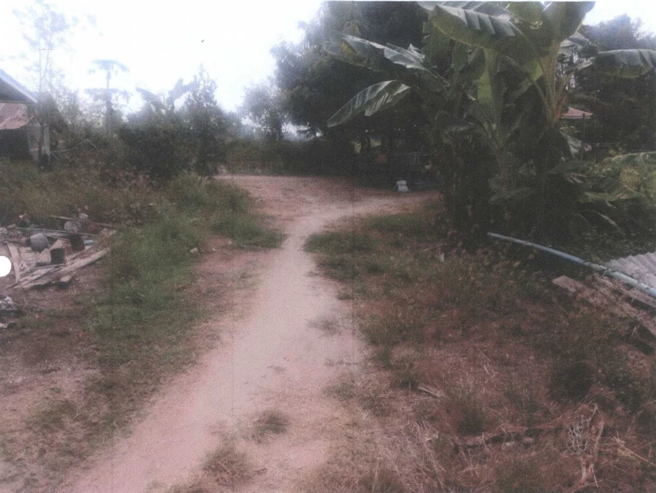 ขายทอดตลาด ที่ดินว่างเปล่า ต.ท้ายน้ำ อ.โพทะเล จ.พิจิตร