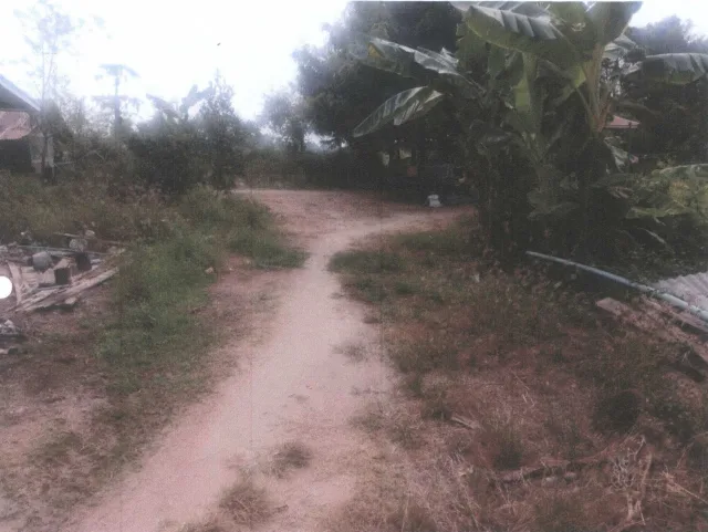 ขายทอดตลาด ที่ดินว่างเปล่า ต.ท้ายน้ำ อ.โพทะเล จ.พิจิตร