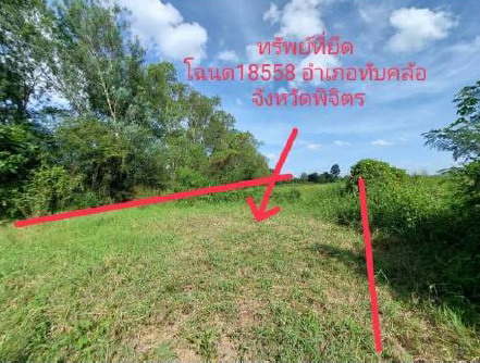 ขายทอดตลาด ที่ดินว่างเปล่า ต.ทับคล้อ อ.ทับคล้อ จ.พิจิตร