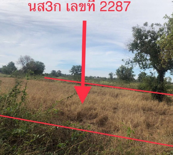 ขายทอดตลาด ที่ดินว่างเปล่า ต.หลักเมือง อ.กมลาไสย จ.กาฬสินธุ์