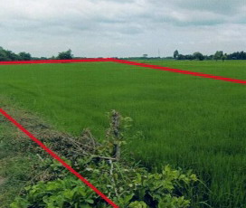 ขายทอดตลาด ที่ดินว่างเปล่า ต.เหล่าอ้อย อ.ร่องคำ จ.กาฬสินธุ์