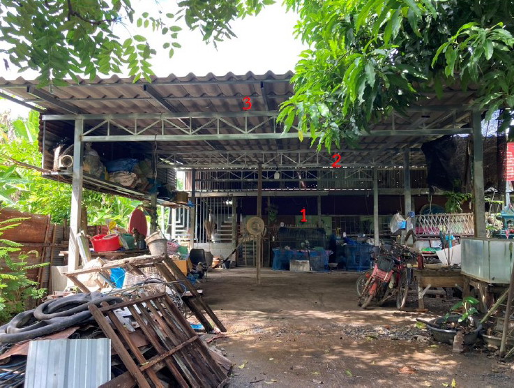 ขายทอดตลาด ที่ดินพร้อมสิ่งปลูกสร้าง ต.ดงป่าคำ อ.เมืองพิจิตร จ.พิจิตร