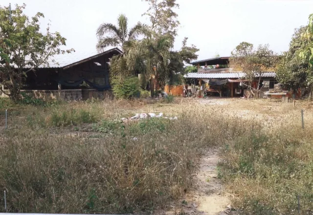 ขายทอดตลาด ที่ดินพร้อมสิ่งปลูกสร้าง ต.โรงช้าง อ.เมืองพิจิตร จ.พิจิตร
