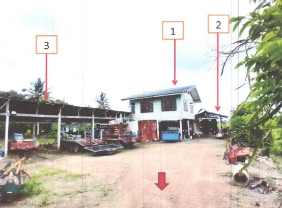ขายทอดตลาด ที่ดินพร้อมสิ่งปลูกสร้าง ต.วังสำโรง อ.ตะพานหิน จ.พิจิตร