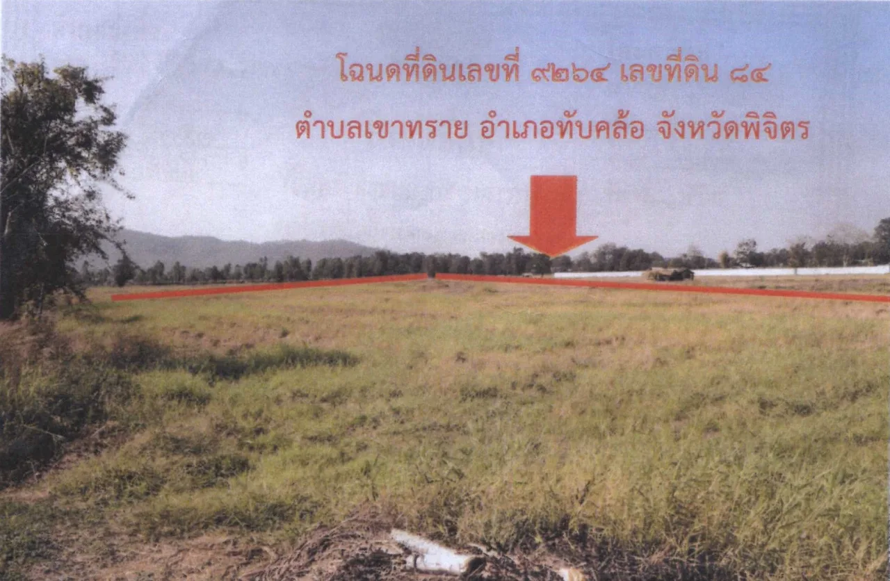 ขายทอดตลาด ที่ดินว่างเปล่า ต.เขาทราย อ.ทับคล้อ จ.พิจิตร